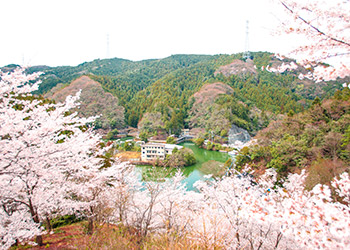 鎌北湖遠景